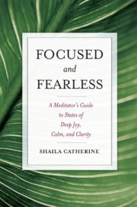 Focused and Fearless Book Cover: Focused and Fearless by Shaila Catherine