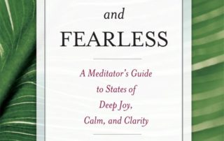 Book Cover: Focused and Fearless by Shaila Catherine