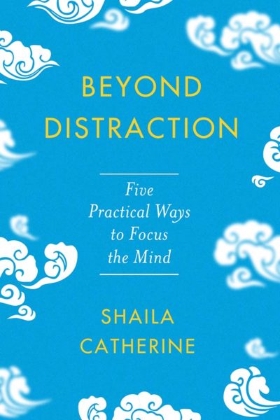 Beyond Distraction